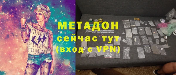 прущие грибы Алзамай