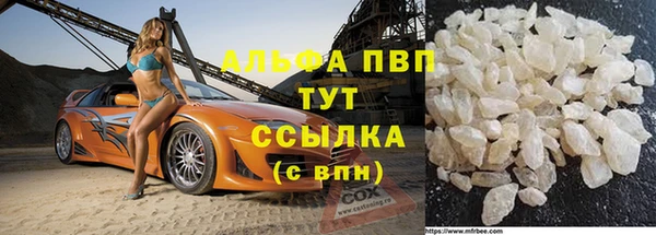 прущие грибы Алзамай